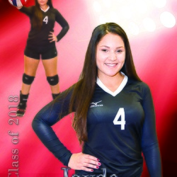 2017 Banners and Posters