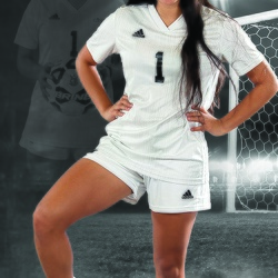 2020 Banners and Posters